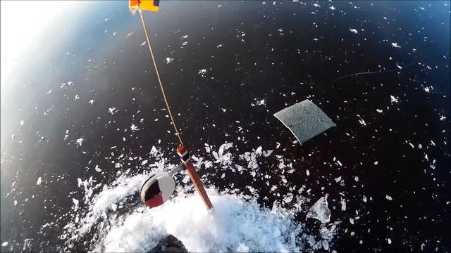 ДП 29 30 ноября 2014г смотреть онлайн