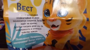 Увлекательная предновогодняя распаковка свитбоксов (Sweet Box) ТИГРЯТА! Красивые, милые зверюшки!