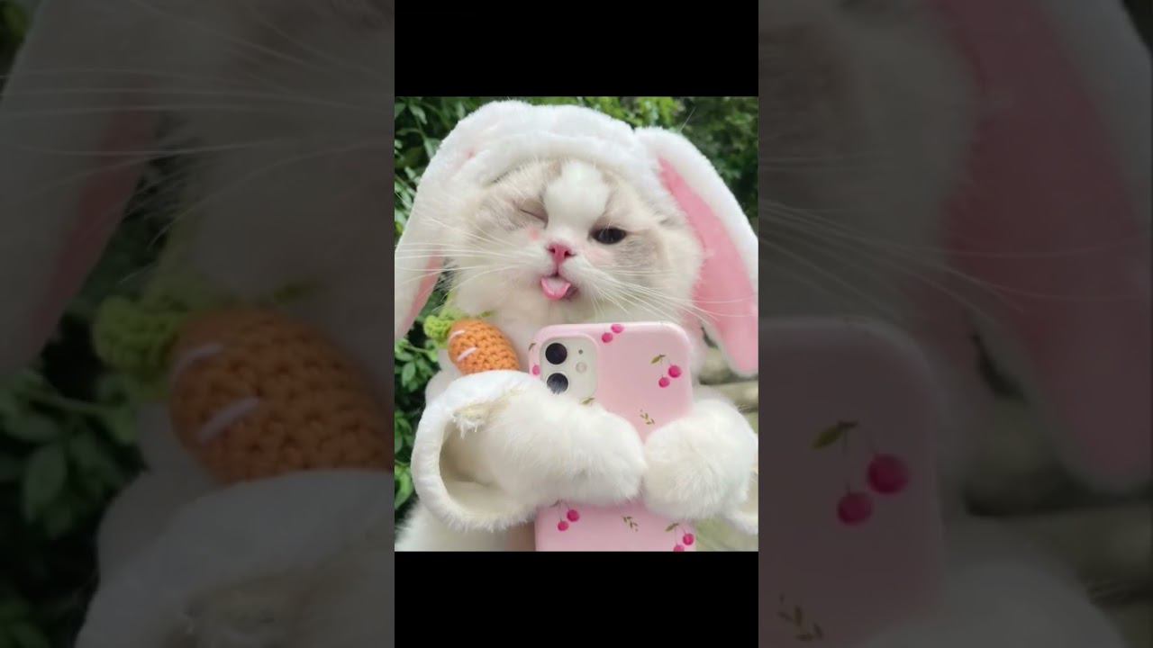 ❤️❤️❤️❤️❤️ смотреть онлайн