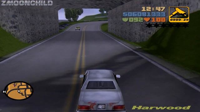 GTA III - Dead Skunk In The Trunk
