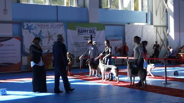 ЧФ 30.09.2017 смотреть онлайн