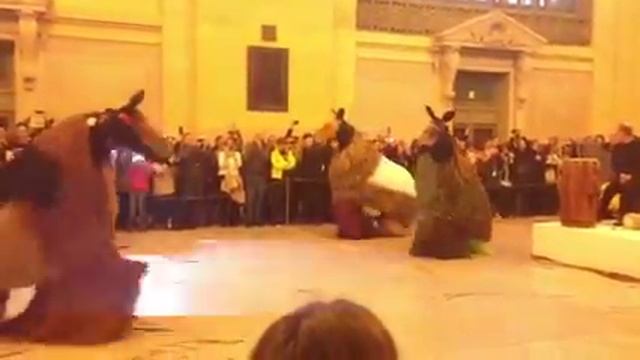 Nick cave horses смотреть онлайн