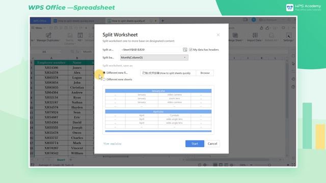 [WPS Academy] 2.2.4 Excel:How to split sheets quickly смотреть онлайн