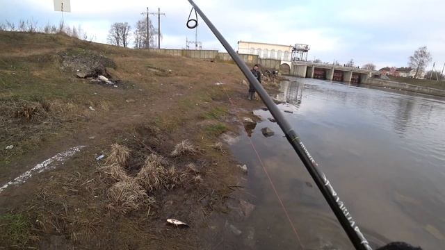Караси на спиннинг в январе! Масло Джёнсонс Бейби рулит! Рыбалка в Беларуси на реке Свислочь 2020 смотреть онлайн