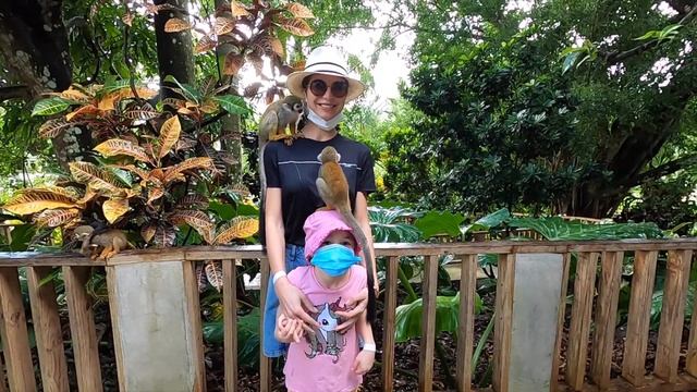 Обзор экскурсии MonkeyLand (манкиленд). Доминикана 2021| Выпуск 2 смотреть онлайн