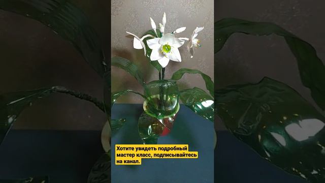 Эухарис (амазонская лилия) из пластиковых бутылок смотреть онлайн