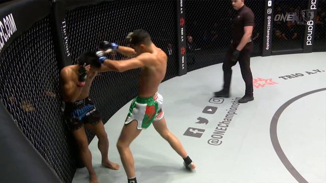 MMA without Grappling?