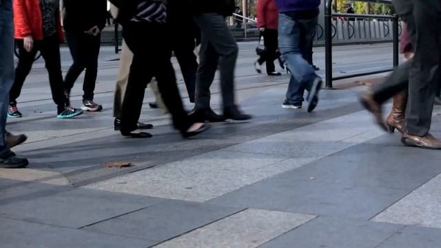 Vionic with Orthaheel Technology Heel pain смотреть онлайн