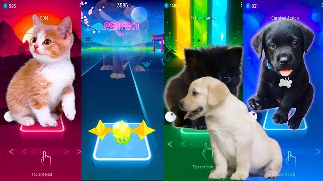 CUTE CATS VS CUTE DOGS | Shakira WAKA WAKA VS BLOODY MARY | ? TILES HOP EDM RUSH ? смотреть онлайн