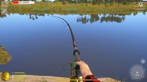 Русская рыбалка 4! Контроль и Вываживание рыбы - Осетр Русский.