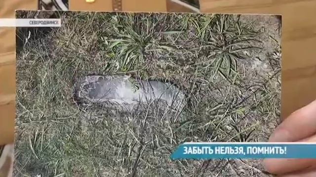 КУЛЬТУРНЫЙ ГОРОД 16.03.18 смотреть онлайн