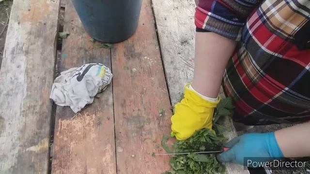 Чтоб куры хорошо неслись. Кормлю так как кормила моя бабушка. 29.04.2020 смотреть онлайн