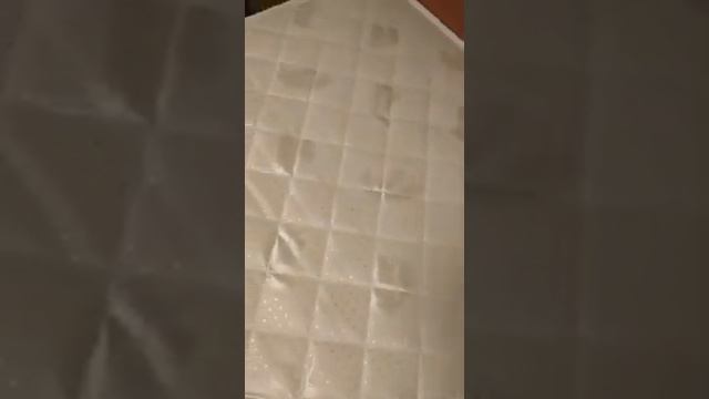 Отзыв о матрасе DreamLine Easy Norma TFK 90*200 и магазине «Анатомия сна»