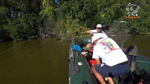 Рыбалка на сазана в Астрахани! Река "Кизань".