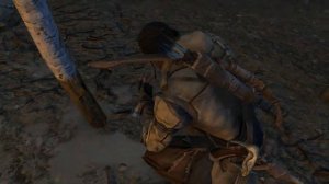 Assassin’s Creed III: Задание Норриса (рудокоп) «Еще одна попытка Норриса»