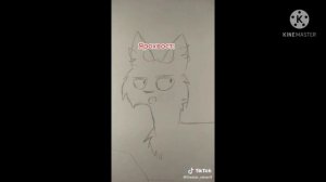 Коты воители из тик тока