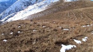 Кекиликке аңчылык. Удачная охота на куропатку. Охота на кеклика. Охота в горах. Chukar hunting.