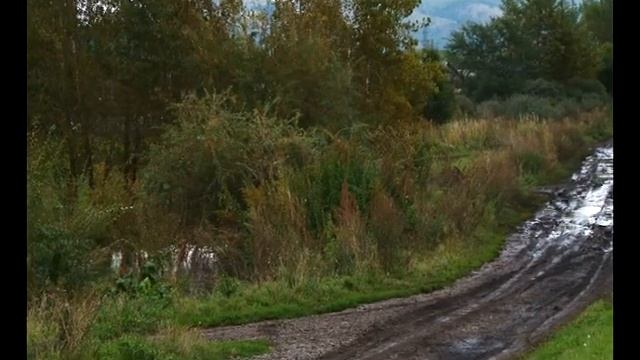 Жители улицы Полевой на Ай Дае Саяногорска стали заложниками своей дороги смотреть онлайн