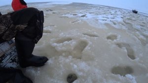 Попал на плотву! Горе-море, безнасадка, первый лёд 2021