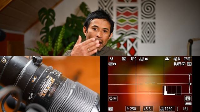 Nikon Z9 Ultimate focus speed test: Part 3/4 results from 500mm VR F4 смотреть онлайн