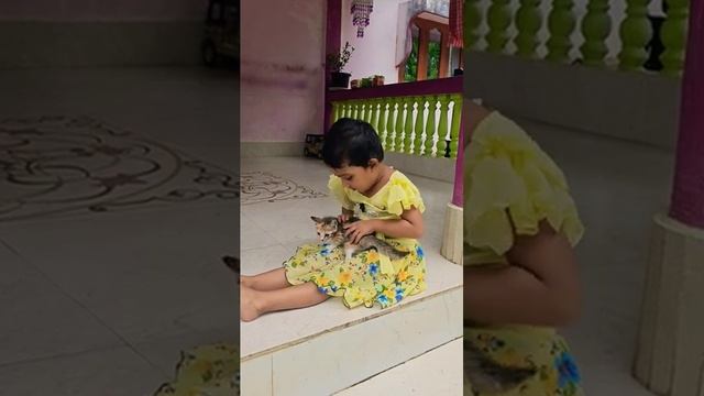 Baby praying for kitty's well #cute #baby #cat смотреть онлайн