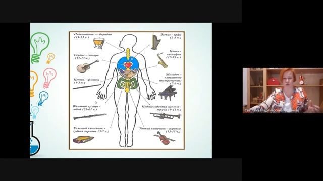 Уроки для родителей. Химия. Цикл "Красота молекул внутри нас". Урок 4. Химия чувств смотреть онлайн