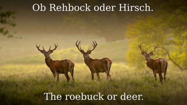 Ich Bin Ein Freier Wildbretschütz ✠ - German Folk Song + English Translation