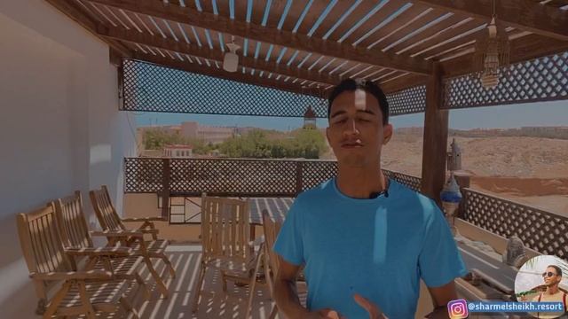 Что происходит на дорогах Египта. Или реальные правила дорожного движения.