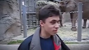 Топ 10 - Самых глупых смертей - Премия Дарвина