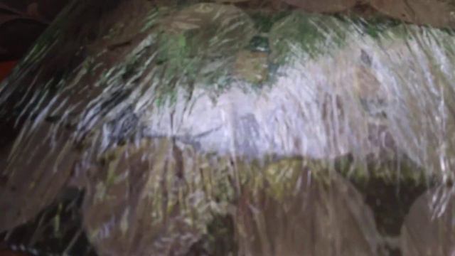 Зимний посев многолетников смотреть онлайн