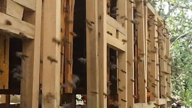 Осушка Суши смотреть онлайн