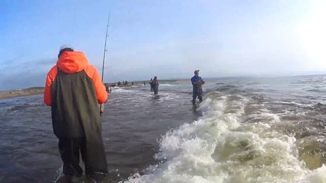 Ловля морской горбуши на побережье Сахалина. Отличный клёв Соломка и Юкола из горбуши смотреть онлайн