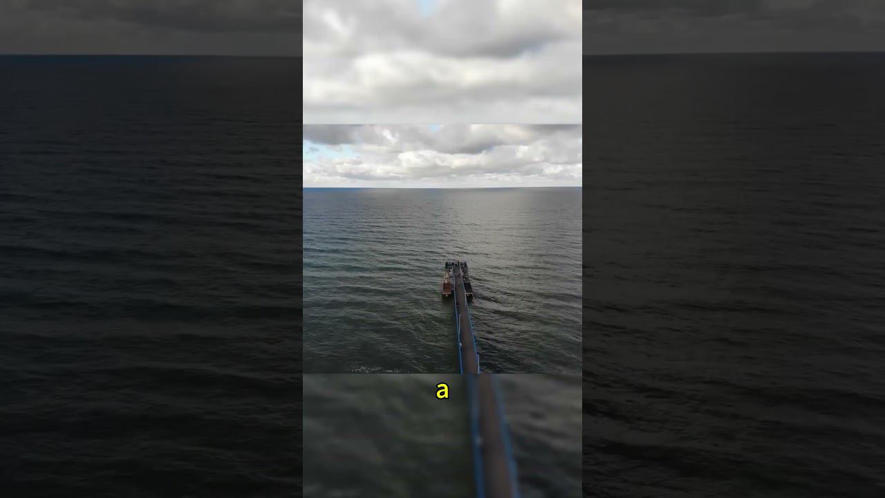 Какой город назван городом котов ? #Shorts смотреть онлайн