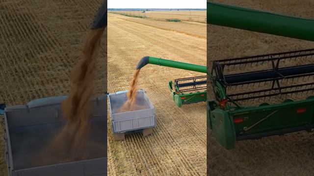 Уборка зерна