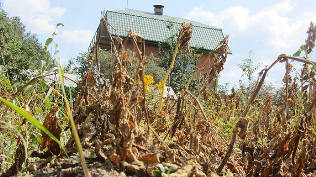 Народные приметы на 10 августа. смотреть онлайн