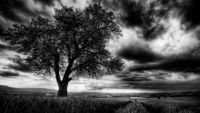 高橋竹山1978 (3) [よされ二重奏] -Takahashi Chikuzan/Tsugaru Shamisen (3) [YOSARE] смотреть онлайн