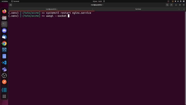 python/django + server uwsgi + server nginx смотреть онлайн