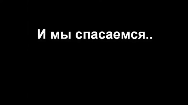 Амурский тигр смотреть онлайн