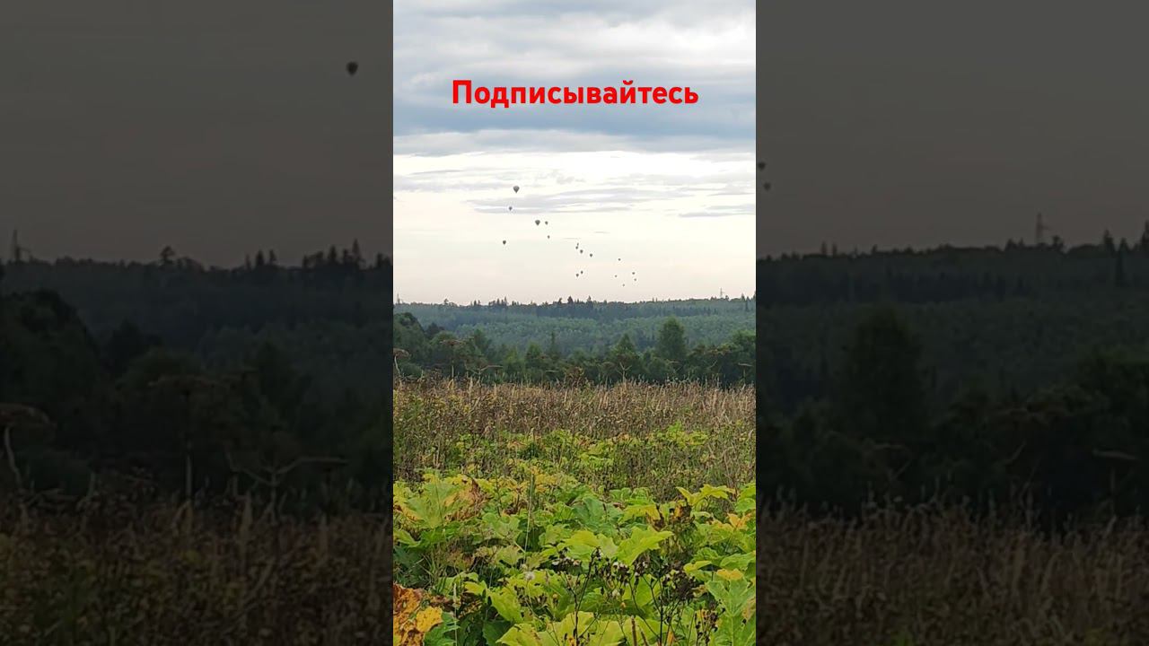Попутного ветра! смотреть онлайн