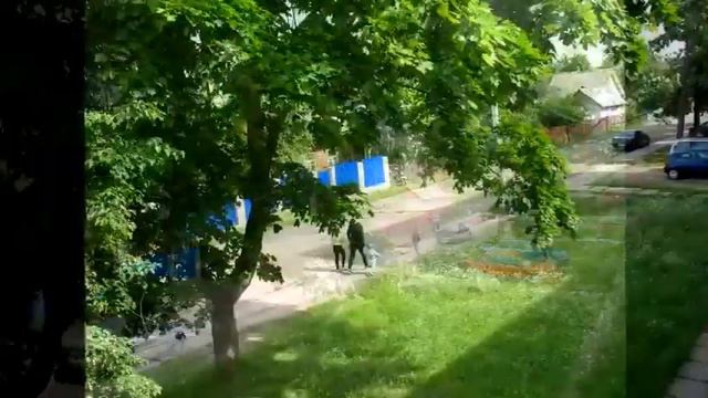 Полгода плохая погода . СОВСЕМ НИКУДА . 2016 смотреть онлайн