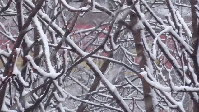 Весна в Ульяновске смотреть онлайн