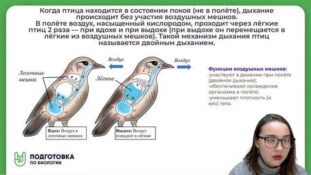 Кратко о ПТИЦАХ смотреть онлайн