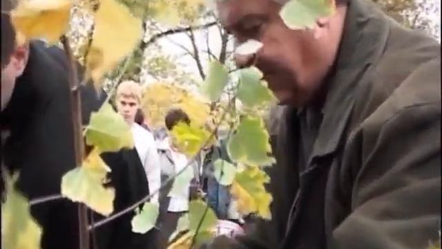 Владимир Турапин Посвящается 110 летию Сергея Есенина смотреть онлайн