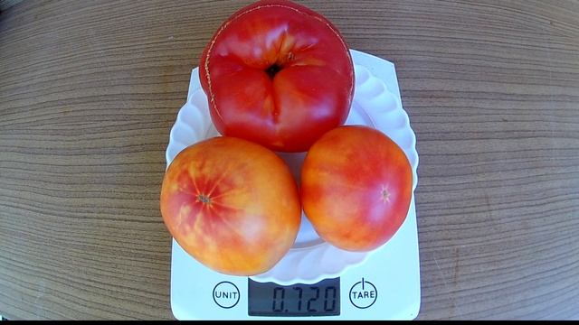 Mary Robinson. Томат - Мэри Робинсон смотреть онлайн