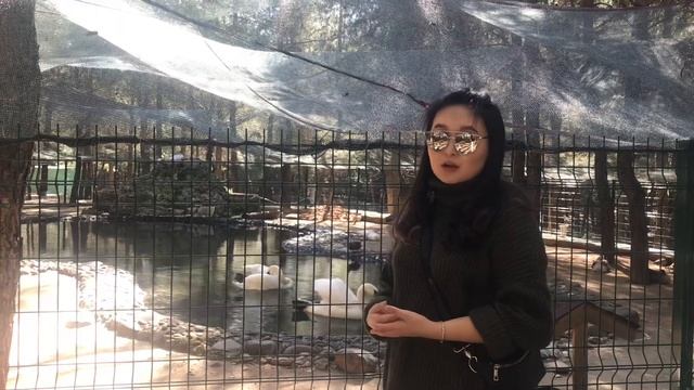 Тур по Университету в Турции, город Мугла