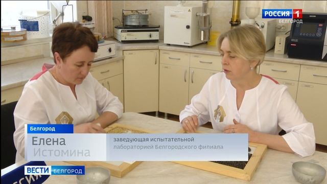 В Белгородской области продолжают исследовать зерно нового урожая смотреть онлайн