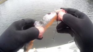 СУПЕР РЫБАЛКА НА ЩУКУ! Свимбейты сделали этот день! / КРУПНАЯ РЕЗИНА / СПИННИНГ