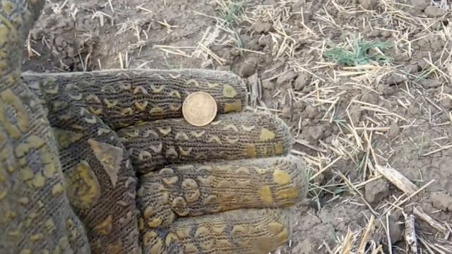 Едем домой с серебром. Отличные находки. Такой находки у меня еще не было. смотреть онлайн