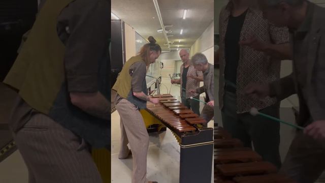 Do you know the composer? #toccata #music #marimba #classicalmusic #muziek #dutch #musica #funny смотреть онлайн