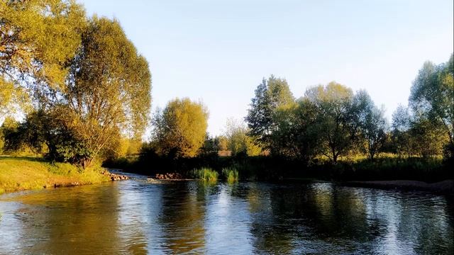 Успокаивающие звуки природы для расслабления, отдыха и сна. Пение птиц у реки для крепкого сна. смотреть онлайн